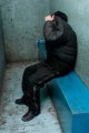В Кемерове задержан наркоман-угонщик