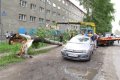 Упавший тополь в Кемерове повредил два автомобиля (фото)