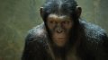МК-рецензия: "Восстание планеты обезьян"